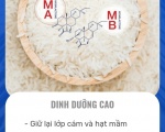 Gạo Ong Biển – Lựa chọn hoàn hảo cho sức khỏe cả gia đình