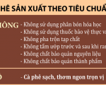 CÀ PHÊ ONG BIỂN RANG HẠT(500GR)