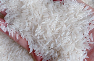 Gạo Ong Biển được canh tác theo quy trình công nghệ Ong Biển