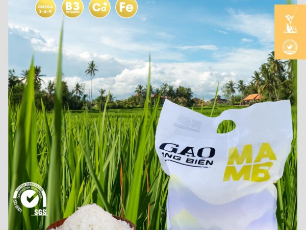 GẠO ONG BIỂN(5kg)